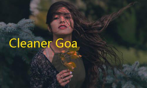 暗区突围透视工具Cleaner Goal